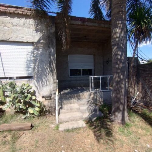 WhatsApp Image 2026-03-11 at 16.17.53