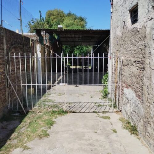 WhatsApp Image 2026-03-11 at 16.17.58 (1)