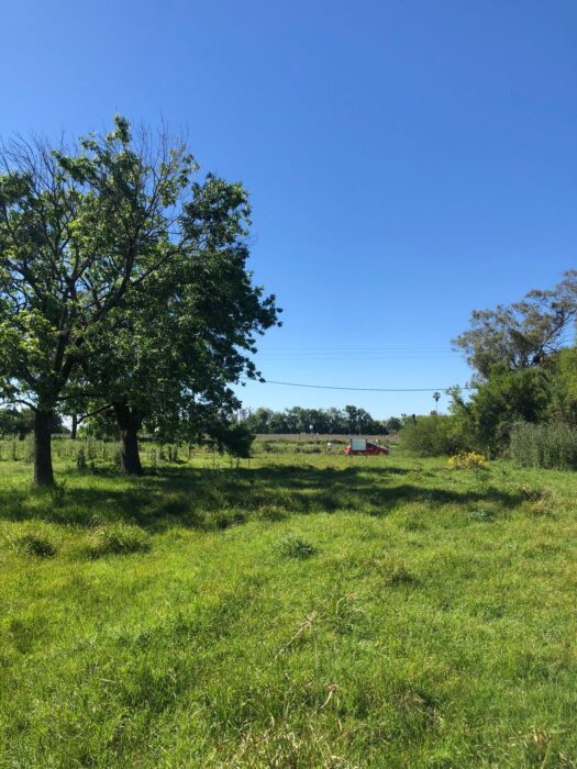 WhatsApp Image 2025-10-20 at 16.47.53