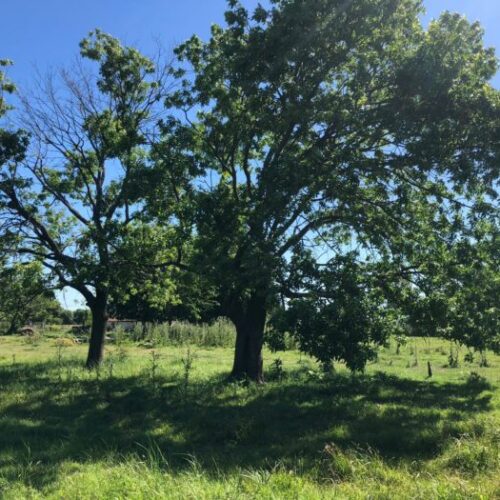 WhatsApp Image 2025-10-20 at 16.48.22 (1)