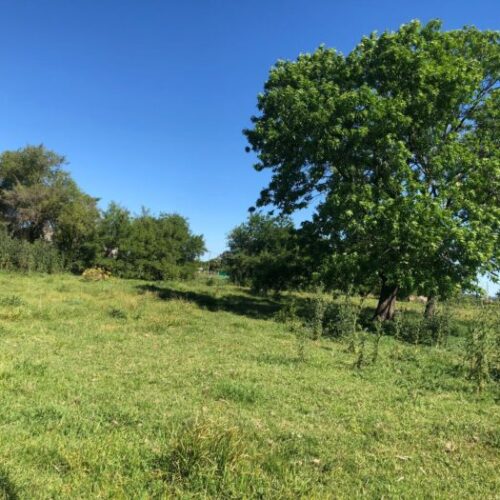 WhatsApp Image 2025-10-20 at 16.48.22