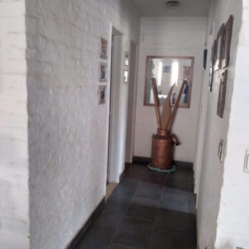 WhatsApp Image 2025-12-10 at 19.24.55