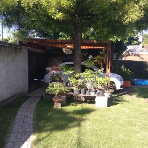 WhatsApp Image 2025-12-10 at 19.25.45