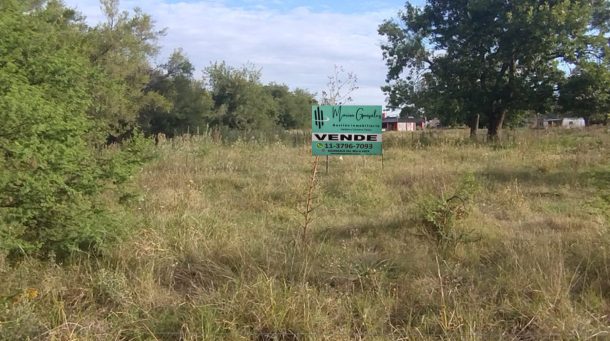 Diseño sin título (73)